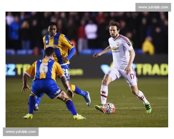 高清足球赛事直播APP下载指南畅享全球赛场精彩即时比分数据分析权威解说 - 副本 - 副本 - 副本 (30) - 副本 - 副本