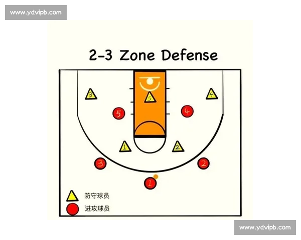 全面解析篮球数据平台助力球队战术与球员表现提升策略